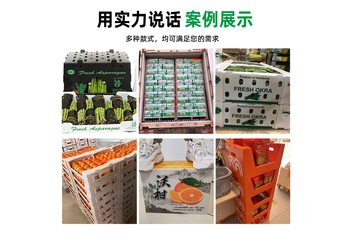中空板堆疊箱 出口國外 案例豐富